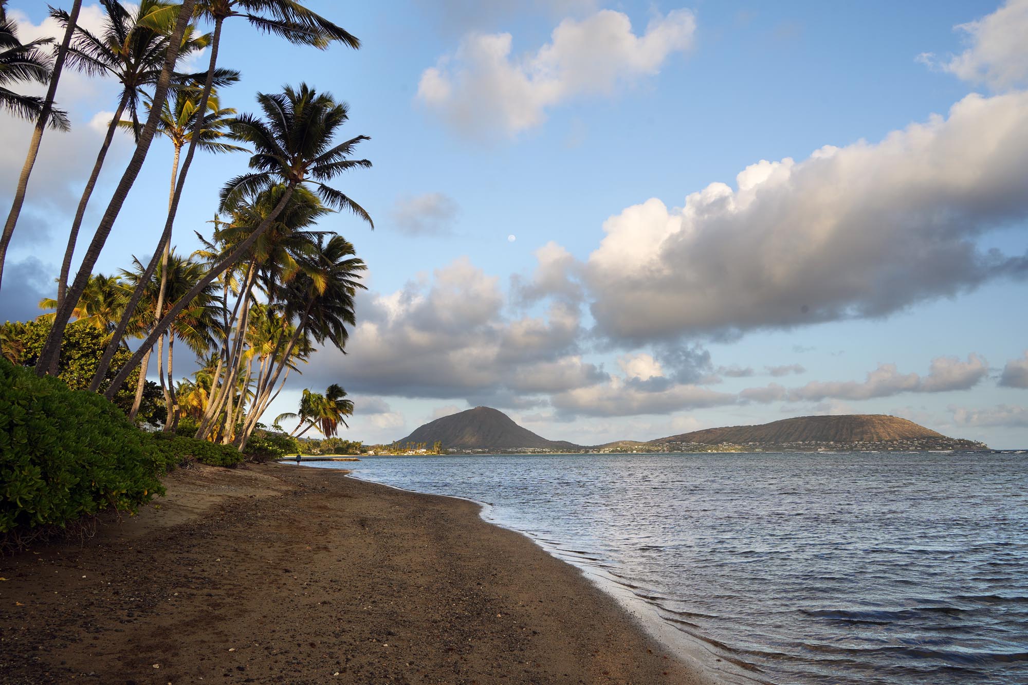 bill-hocker-maunaloa-bay-koko-head-honolulu-hawai'i-2024