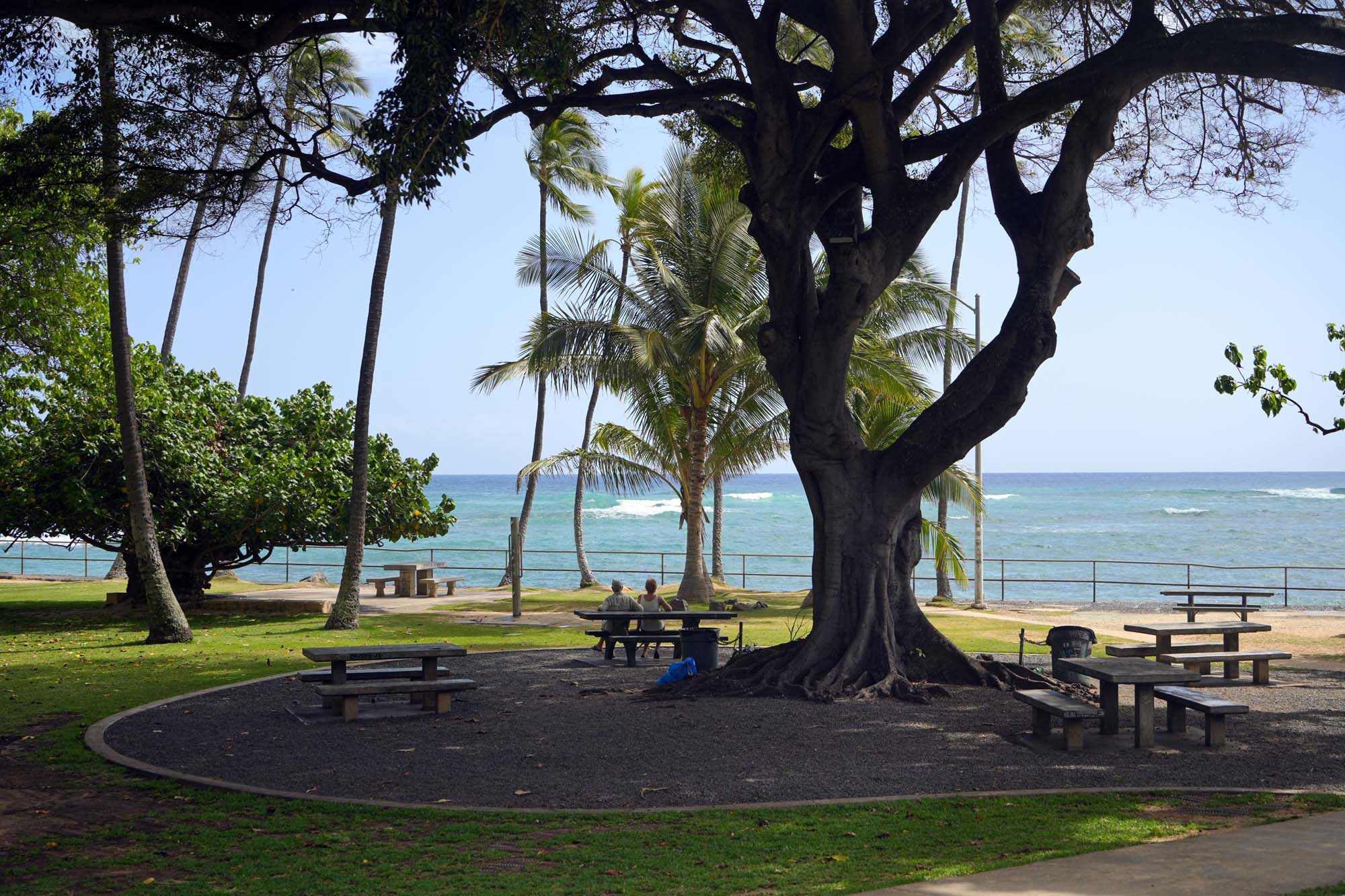 bill-hocker-le'ahi-park-honolulu-hawai'i-2024