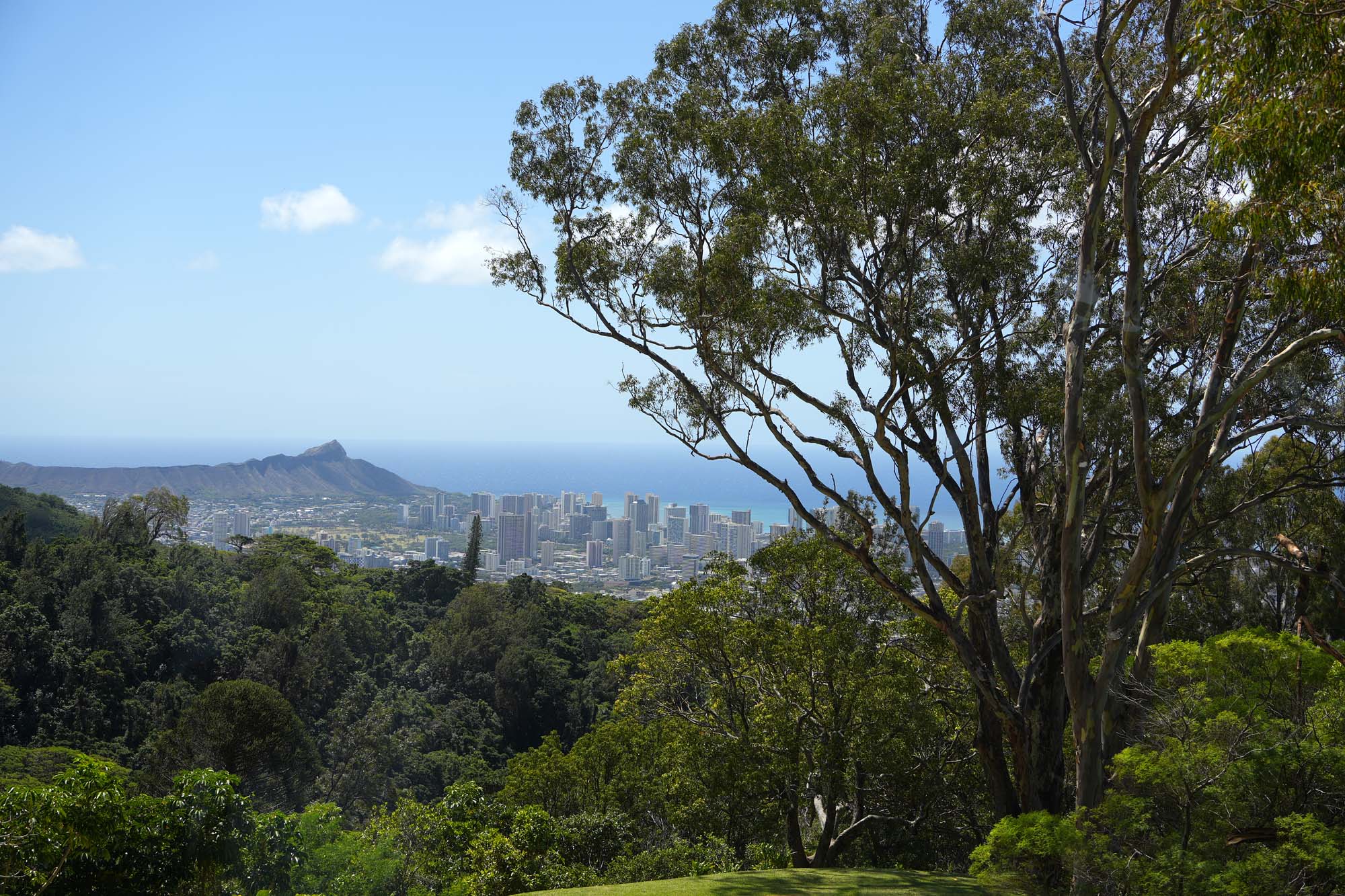 bill-hocker-view-from-liljestrand-house-honolulu-hawai'i-2024