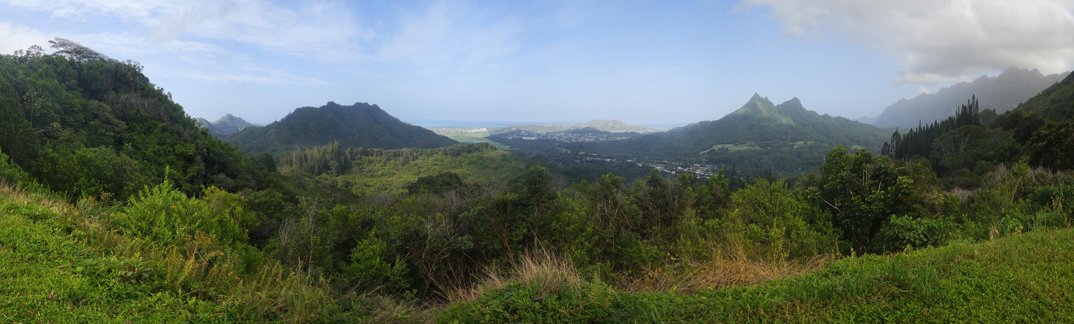 bill-hocker-view-to-kailua-from-pali-highway-oahu-hawai'i-2024