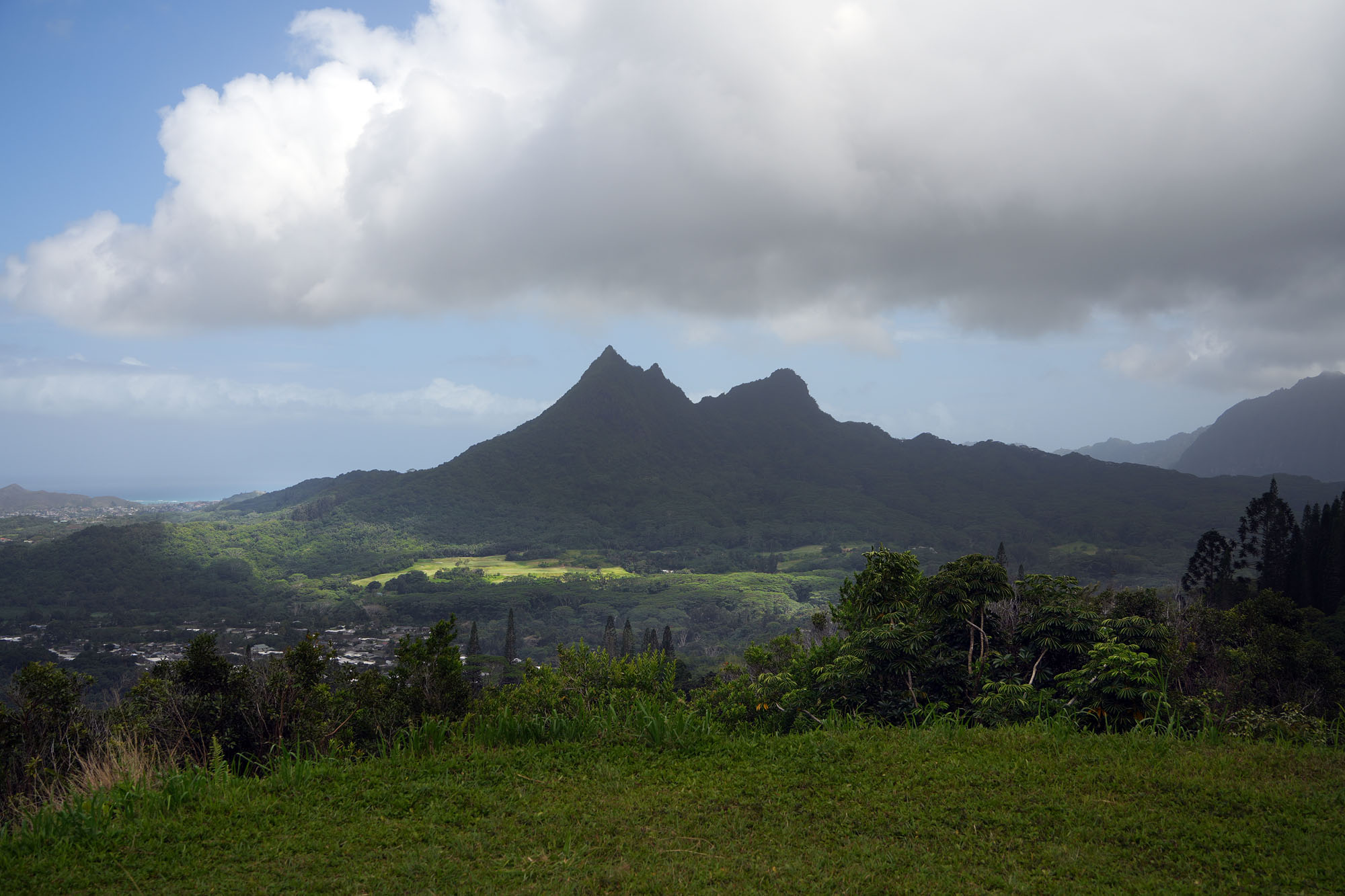 bill-hocker-pali-hwy-turnout-oahu-hawai'i-2024