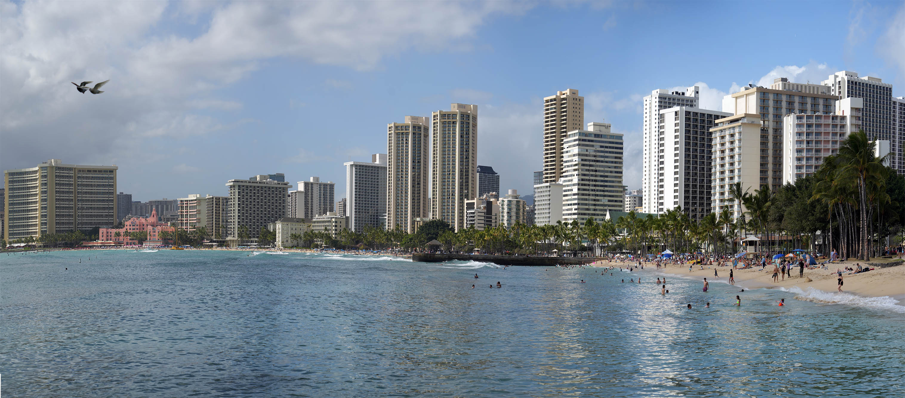 bill-hocker-the-postcard-waikiki-honolulu-hawai'i-2024