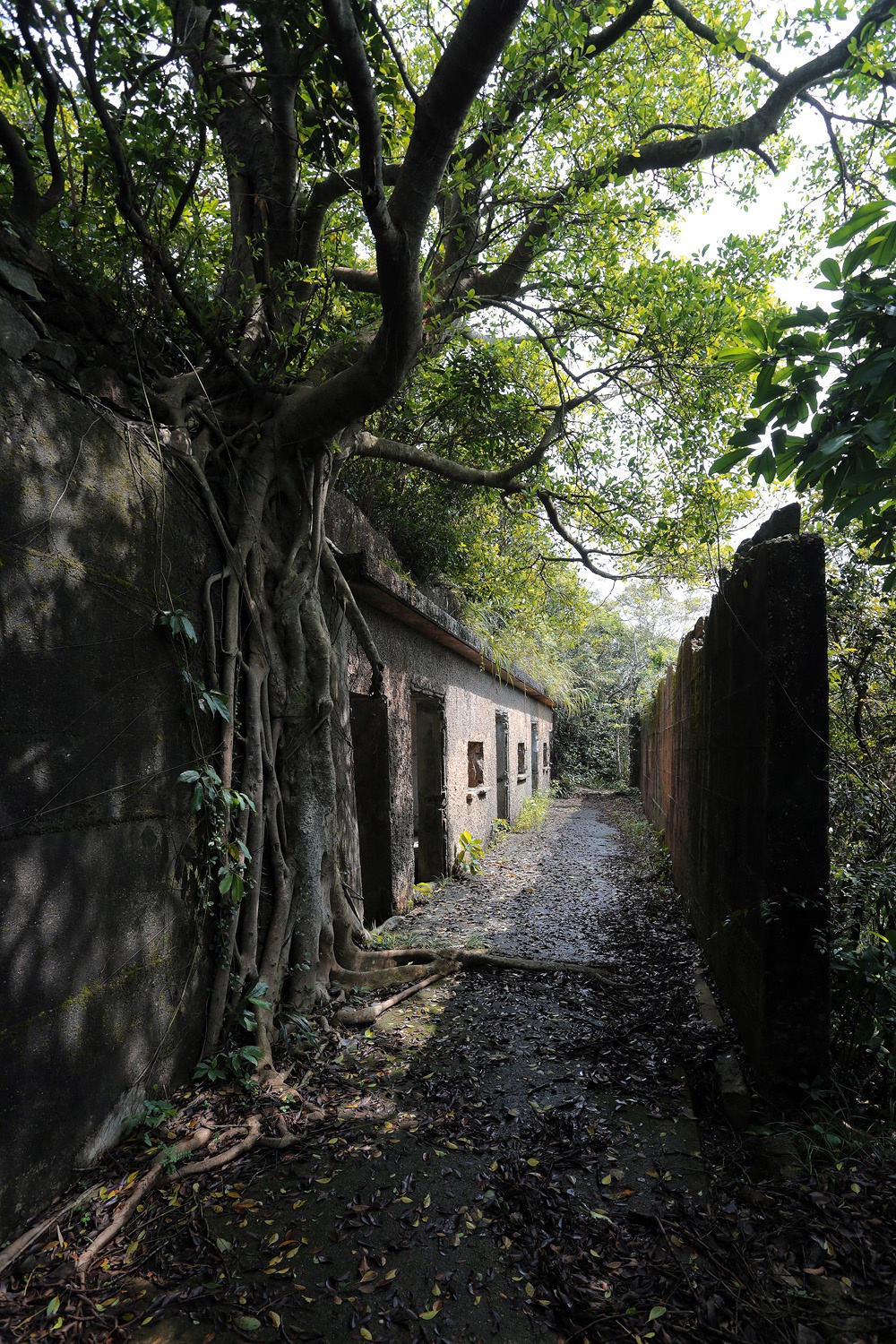 bill-hocker-abandoned-barracks-mt-davis-hong-kong-2017