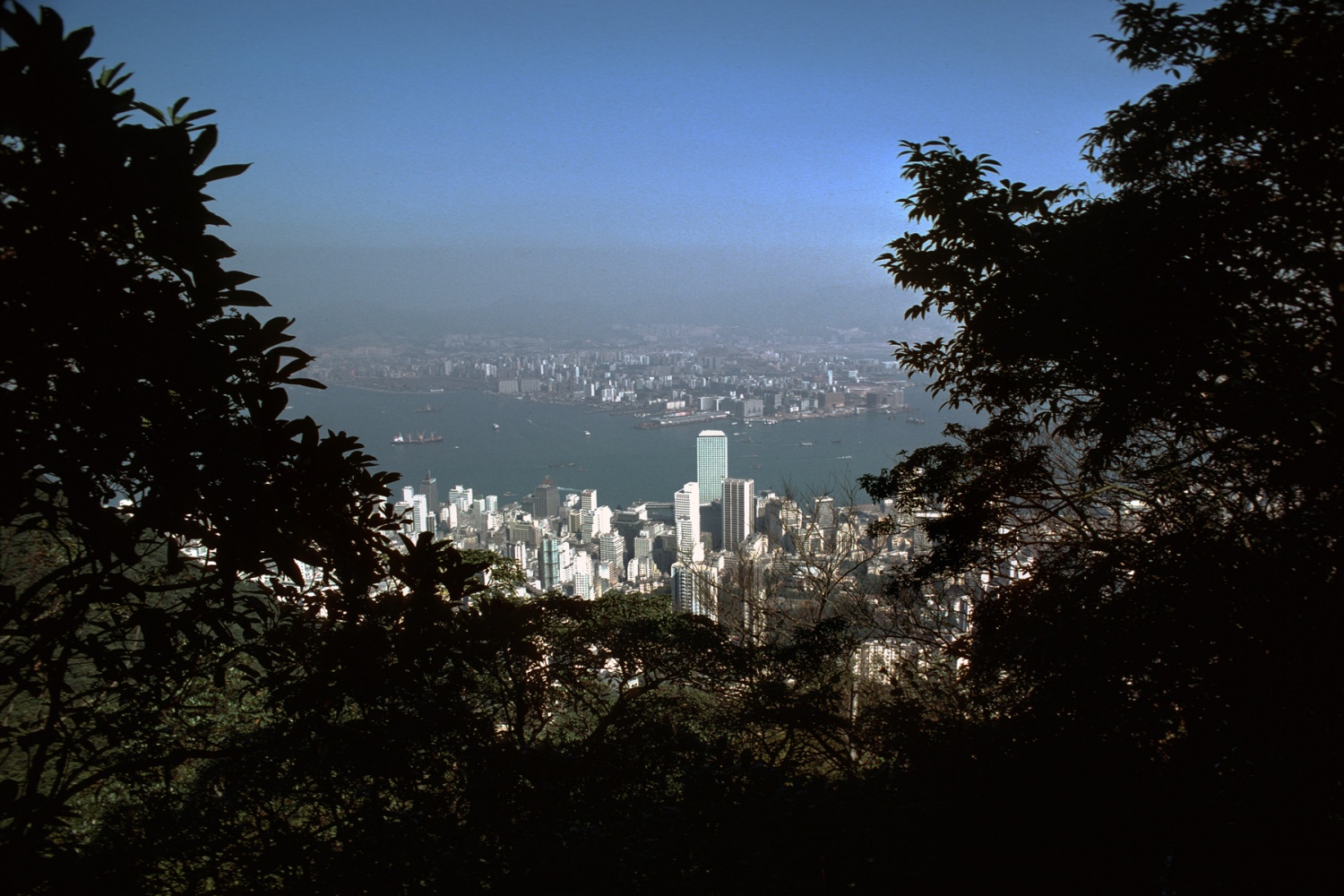 bill-hocker-central-and-kowloon-from-the-peak--hong-kong-1979