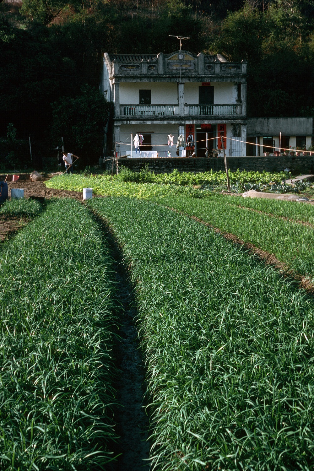 bill-hocker-new-territories-hong-kong-1988