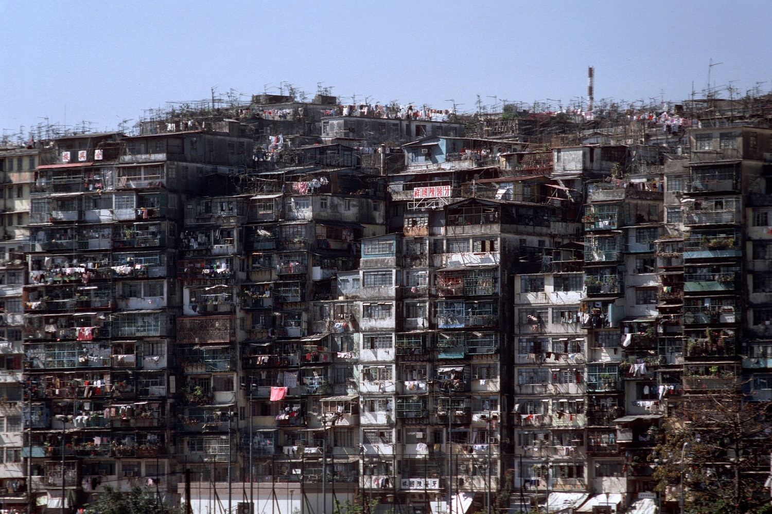 bill-hocker-walled-city-kowloon-hong-kong-1988