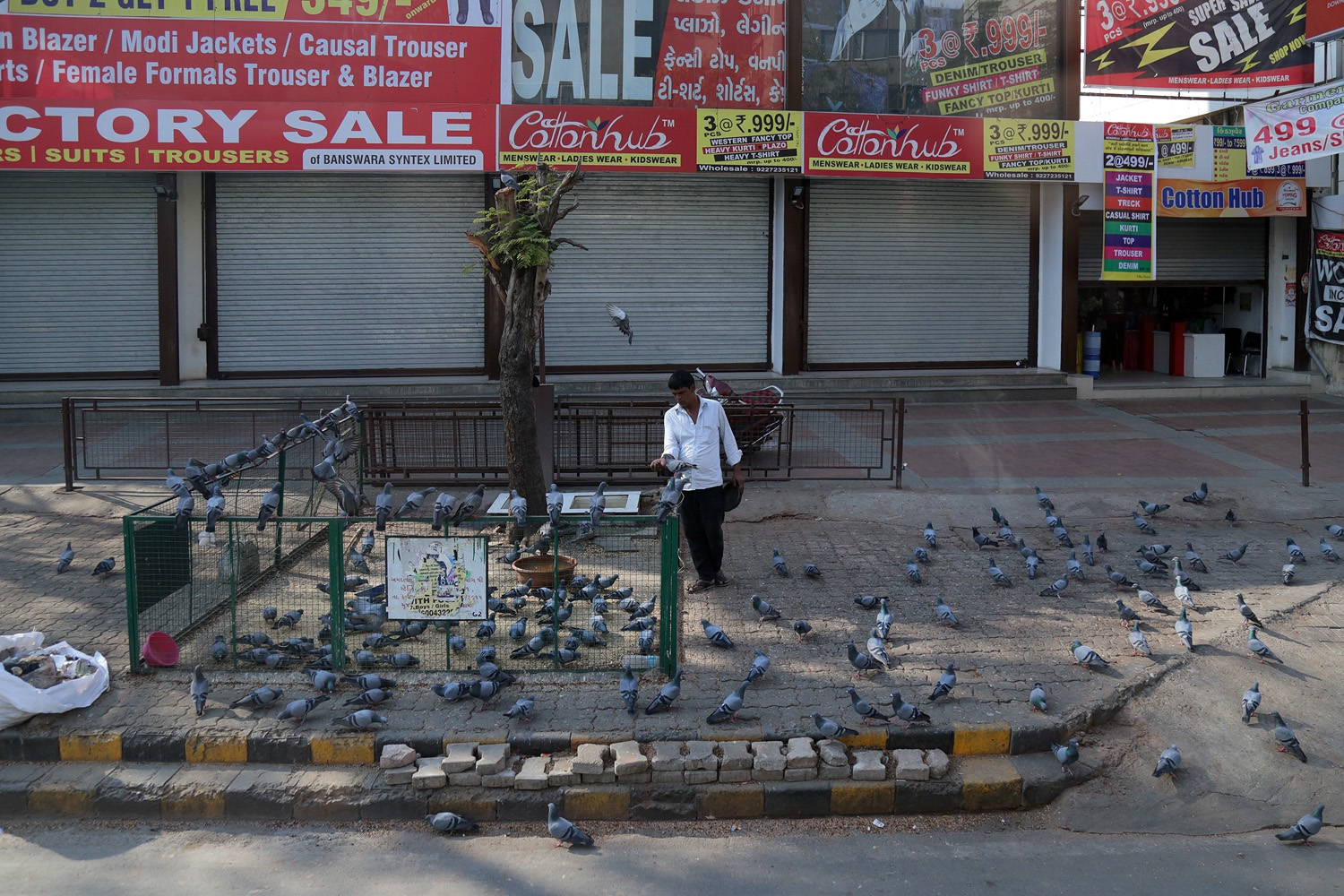 bill-hocker-bird-feeder-ahmedabad-india-2018
