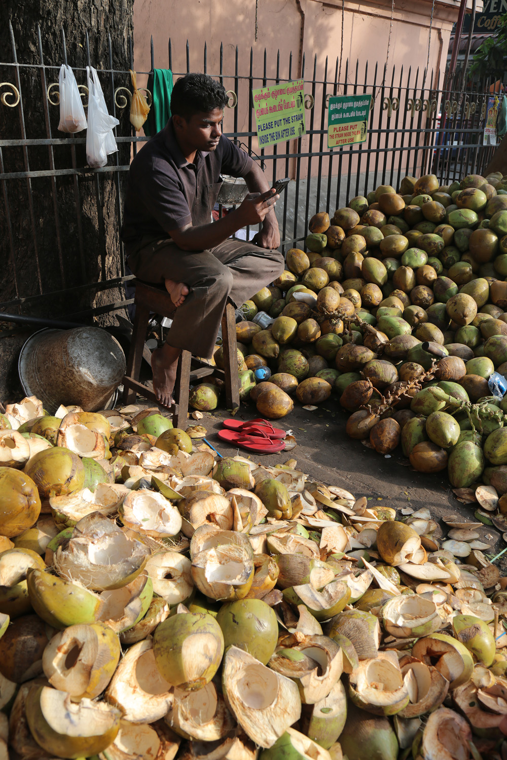 bill-hocker-coconuts-pondicherry-india-2018