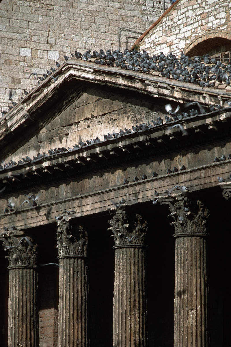 bill-hocker-birds-on-the-temple-of-minerva-assisi-italy-1985