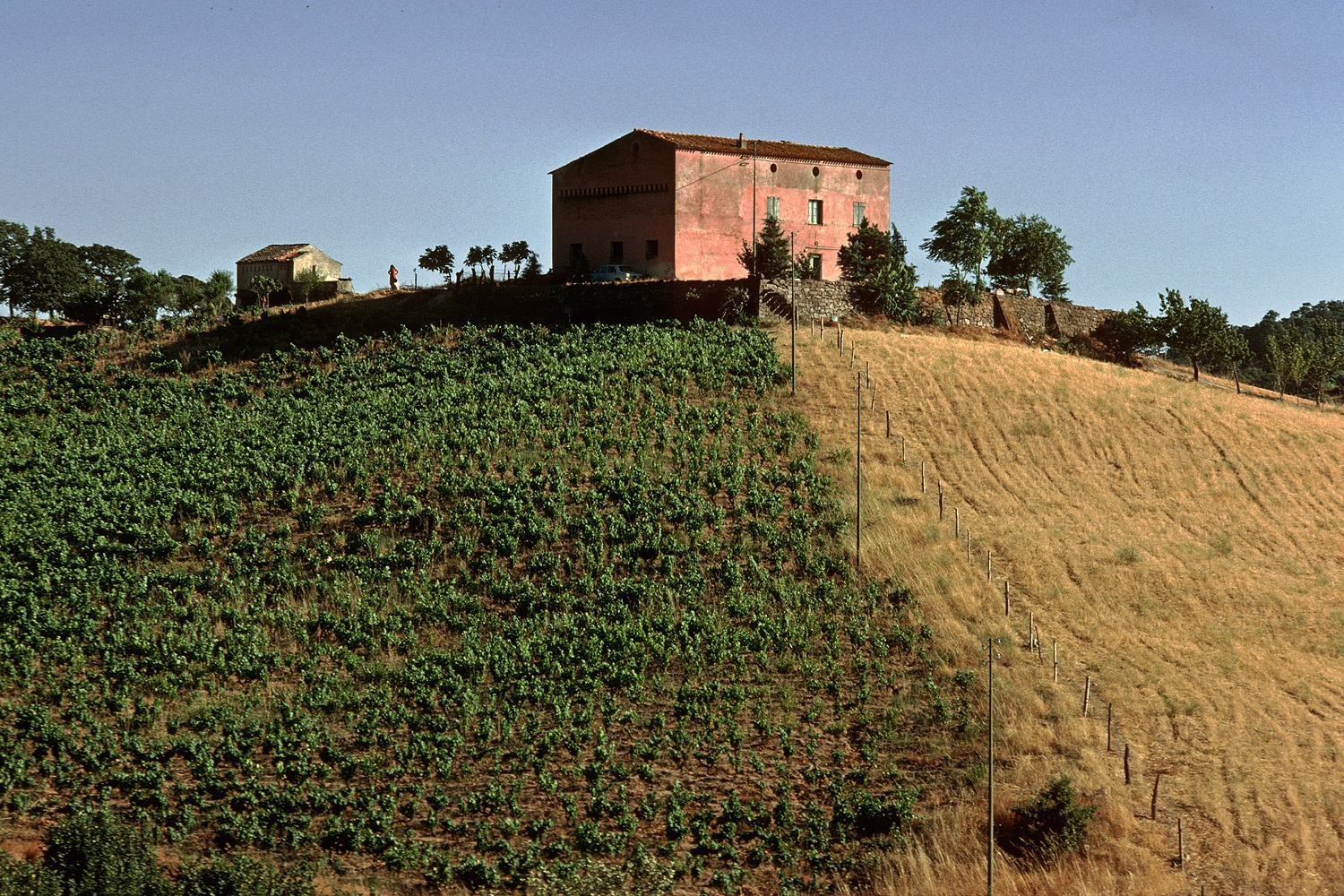 bill-hocker-farm-near-nÃºoro-sardinia-1984