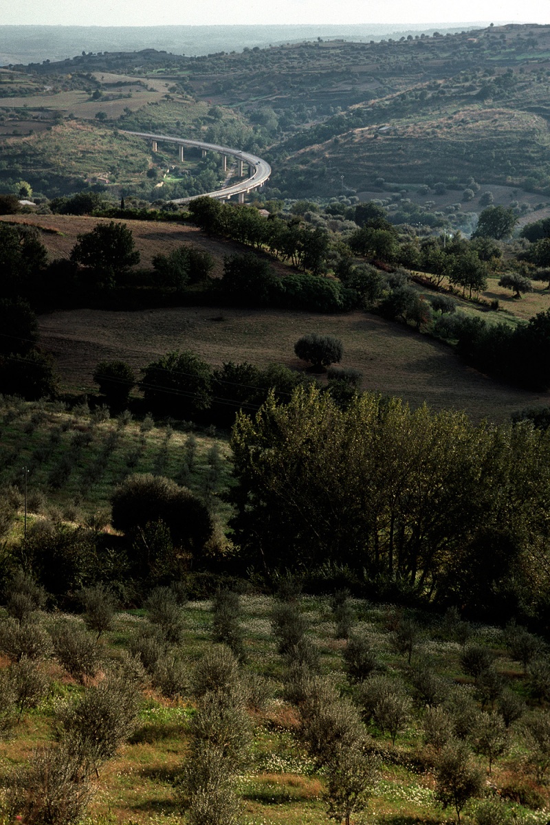 bill-hocker-new-olives-highway-near-noto-sicily-2000