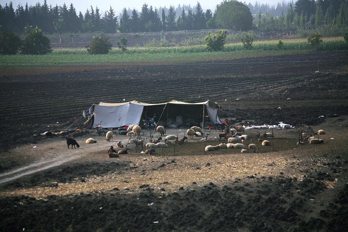 bill-hocker-shepherds-tent-syria-2008