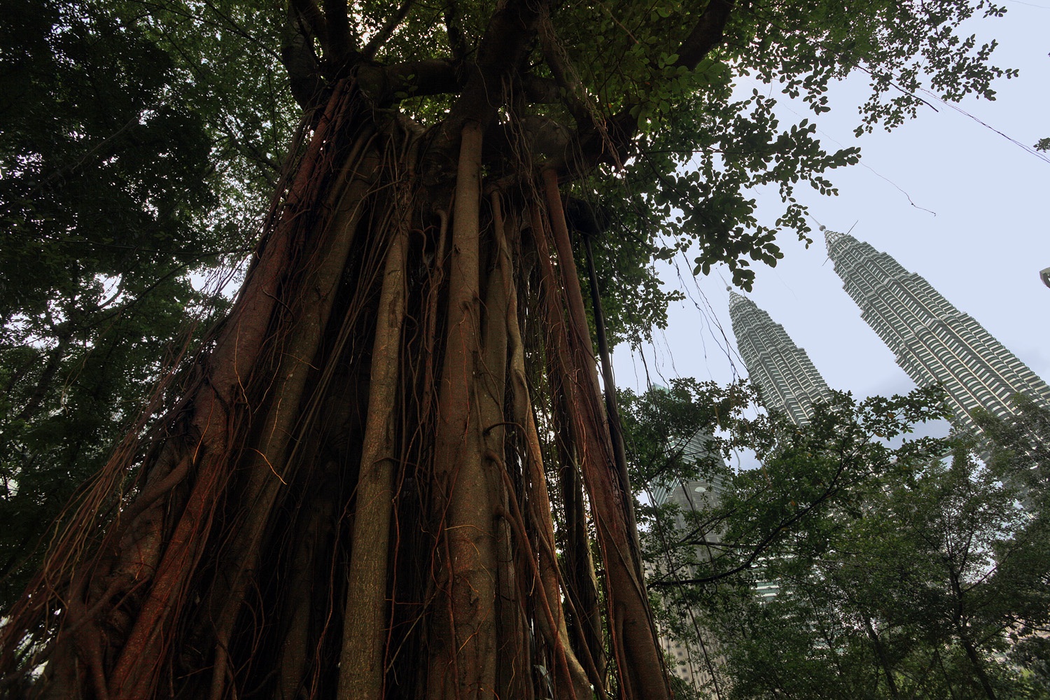 bill-hocker-petronas-towerskuala-lumpur-malaysia-2014