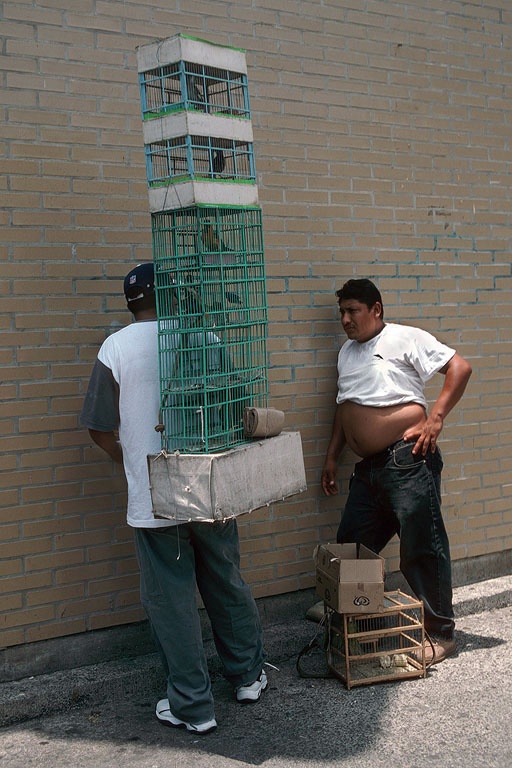 bill-hocker-bird-sellers-manzanillo-mexico-2004