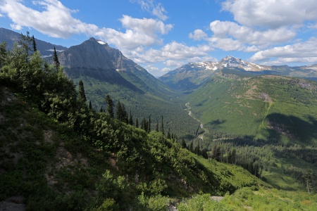 Mt. Cannon
Glacier National Park
Montana
