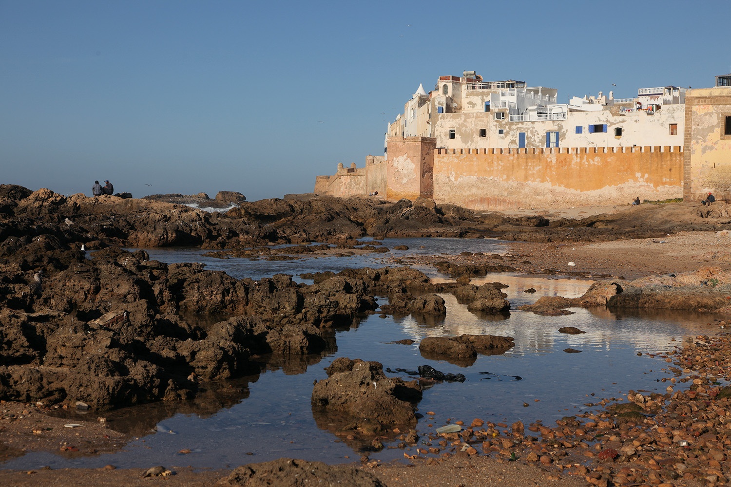 bill-hocker-essaouira-morocco-2012