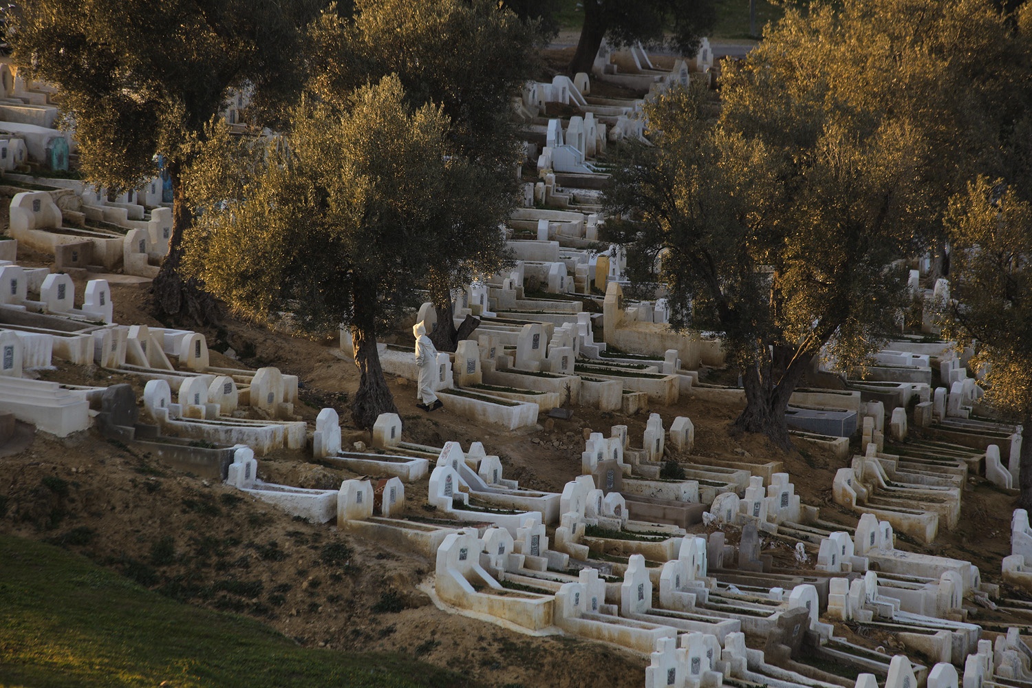 bill-hocker-bab-guissa-cemetery-fes-el-bali-morocco-2013