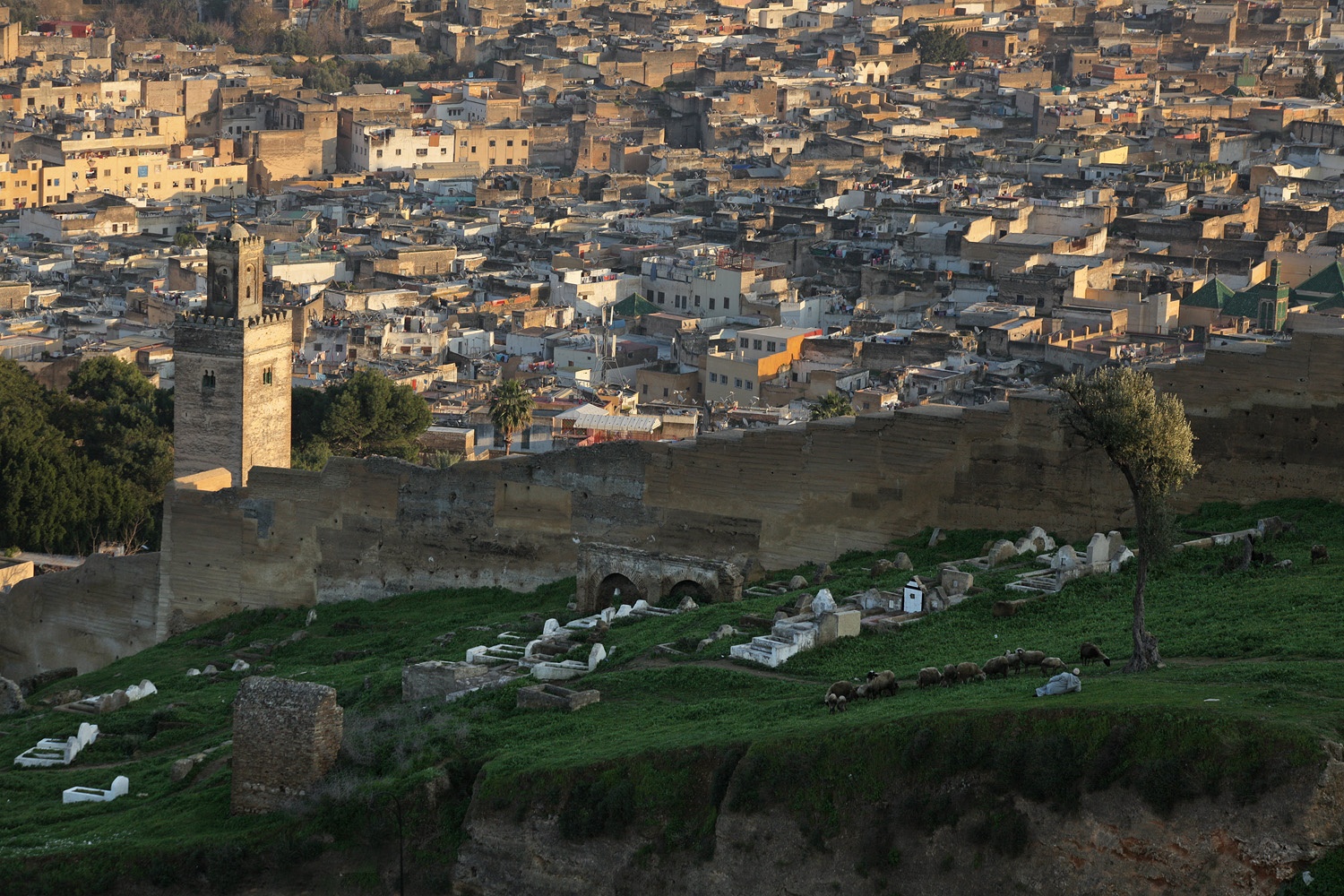 bill-hocker-from-the-merenid-tombs-fes-el-bali-morocco-2013