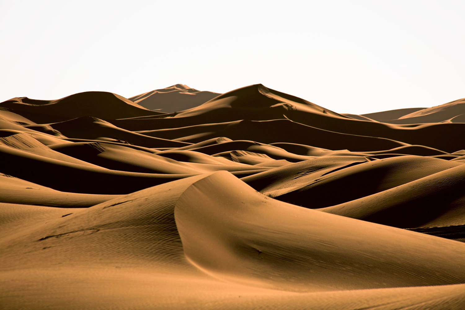 bill-hocker-erg-chebbi-merzouga-morocco-2013