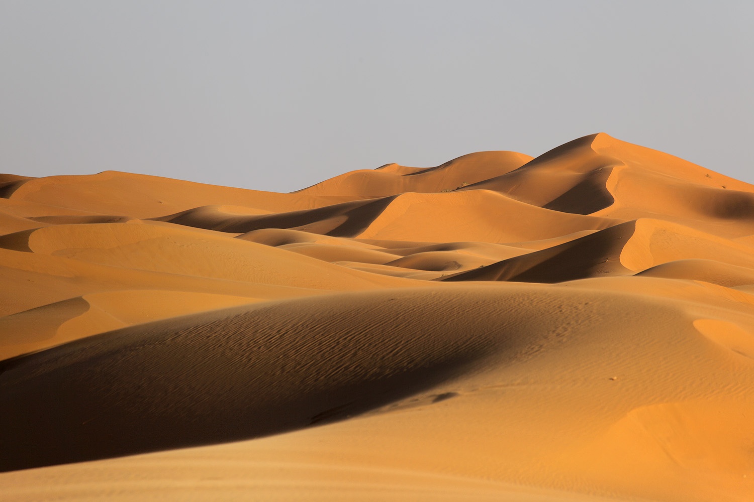 bill-hocker-erg-chebbi-merzouga-morocco-2013