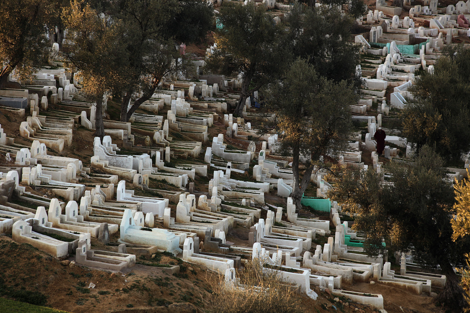 bill-hocker-merenid-cemetery-fes-el-bali-morocco-2013