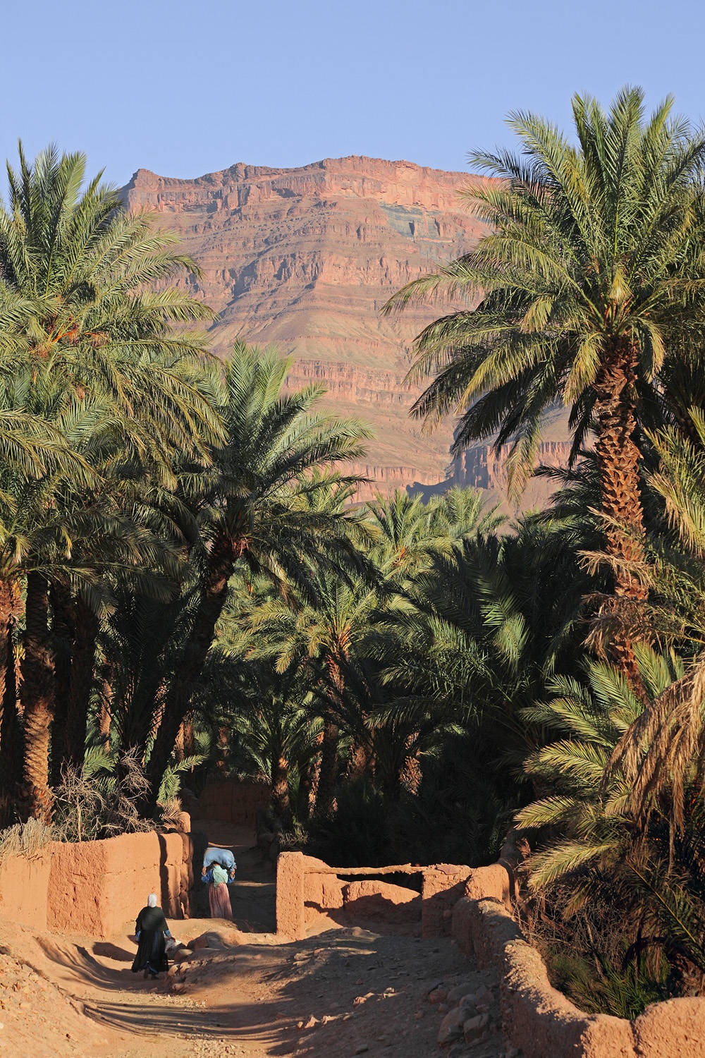 bill-hocker-el-arabi-draa-valley-morocco-2013