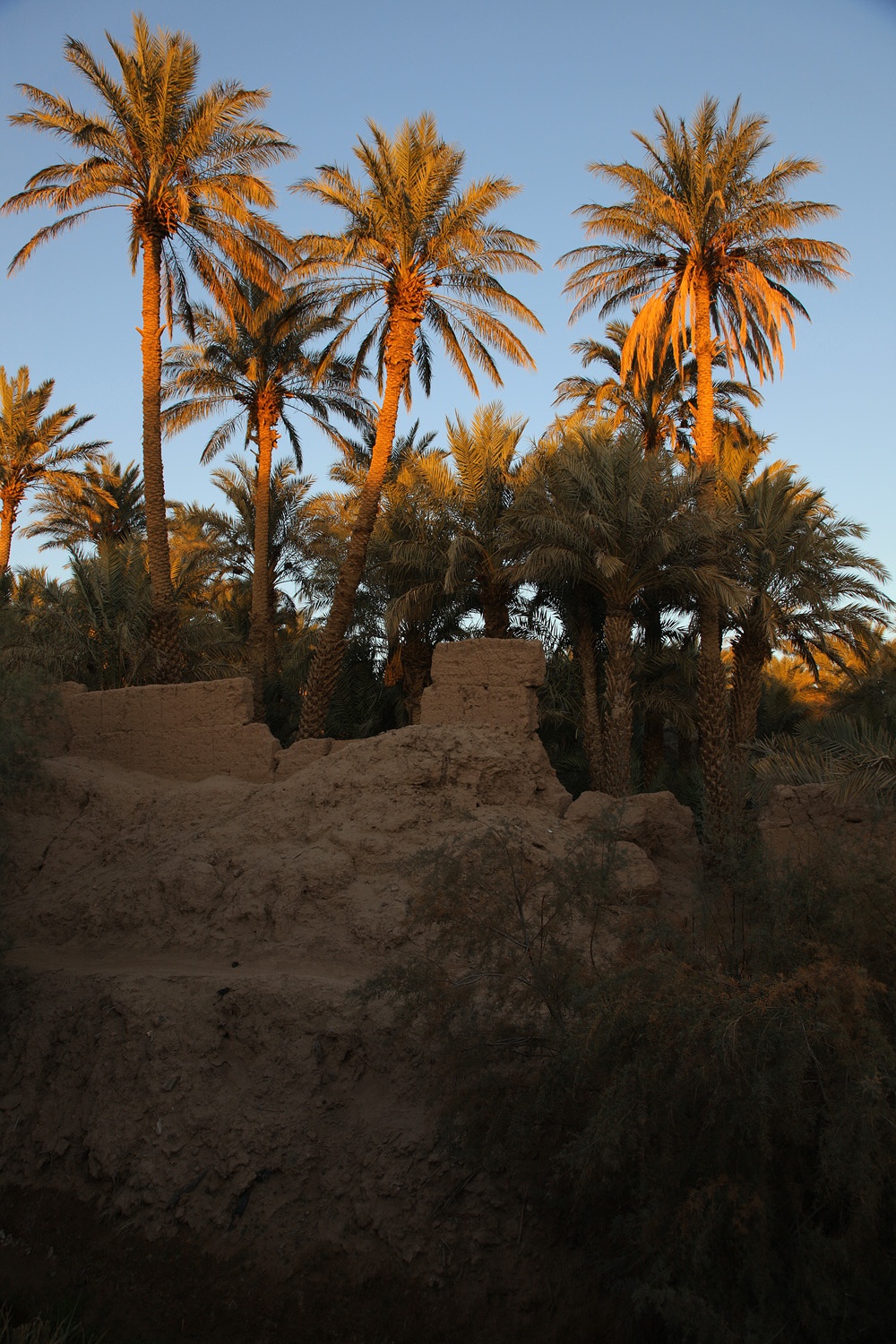 bill-hocker-zagora-morocco-2013