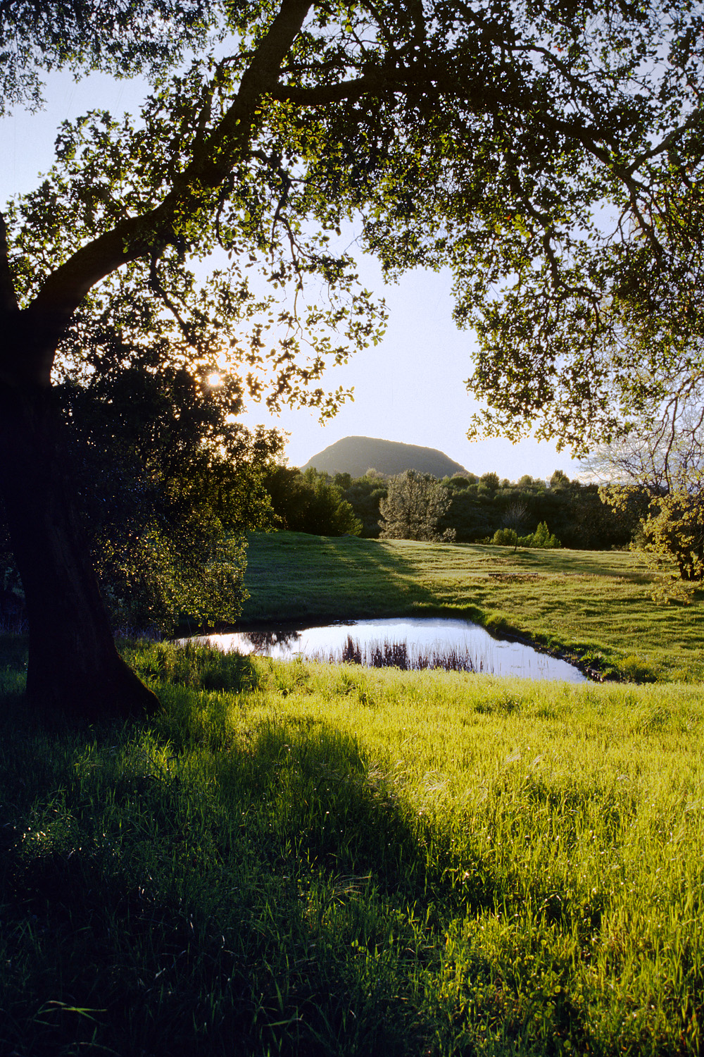 bill-hocker-pond-&-haystack-in-spring-twin-brook-farm-california-2002