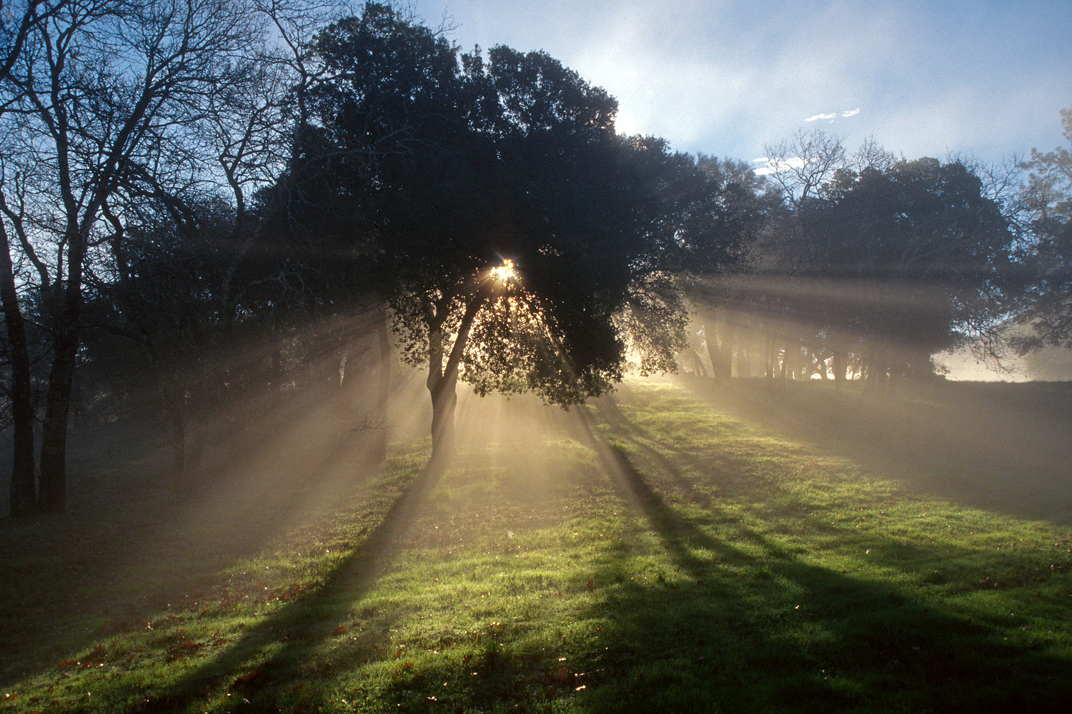 bill-hocker-winter-sunrise-twin-brook-farm-california-2002