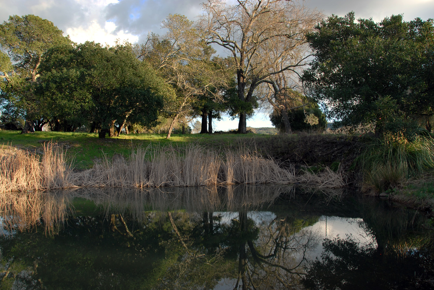 bill-hocker-the-pond-twin-brook-farm-napa-california-2007