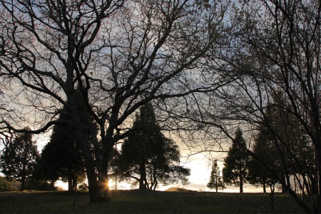 Twin Brook Farm
Napa County, California