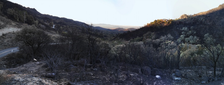 After the fire
Soda Canyon Road
Napa, California