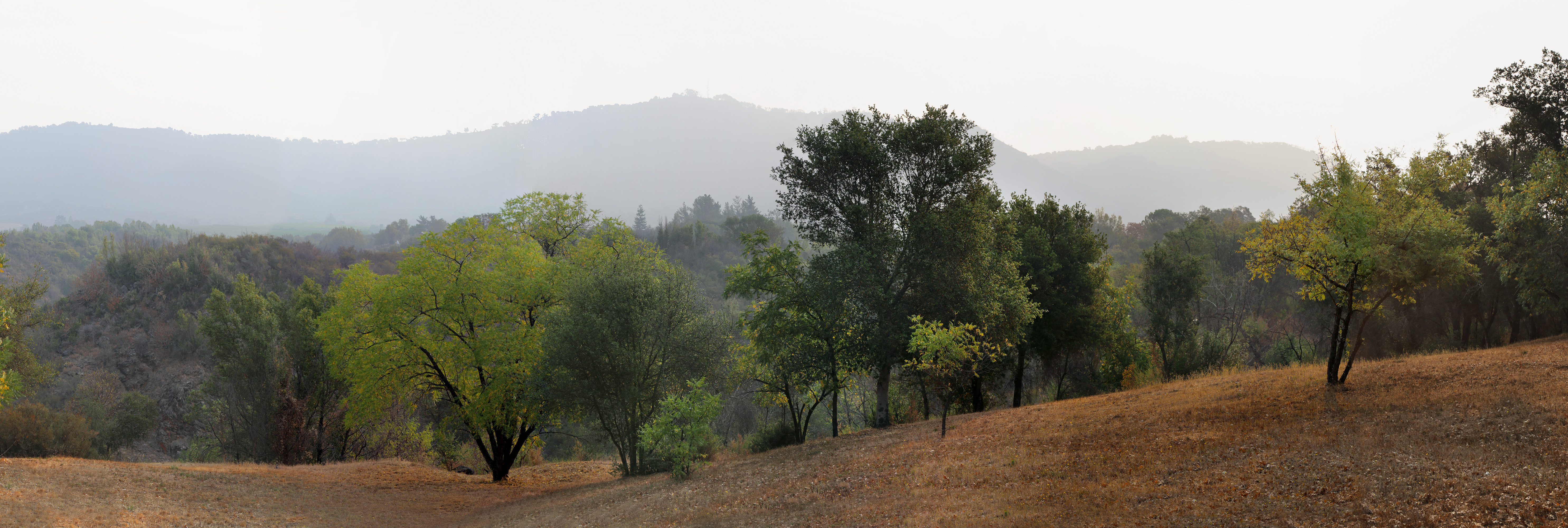 bill-hocker-atlas-peak-ridge-from-twin-brook-farm-napa-county-california-2020