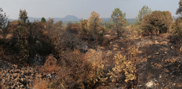 Haystack form Manfree Farm
Napa, California