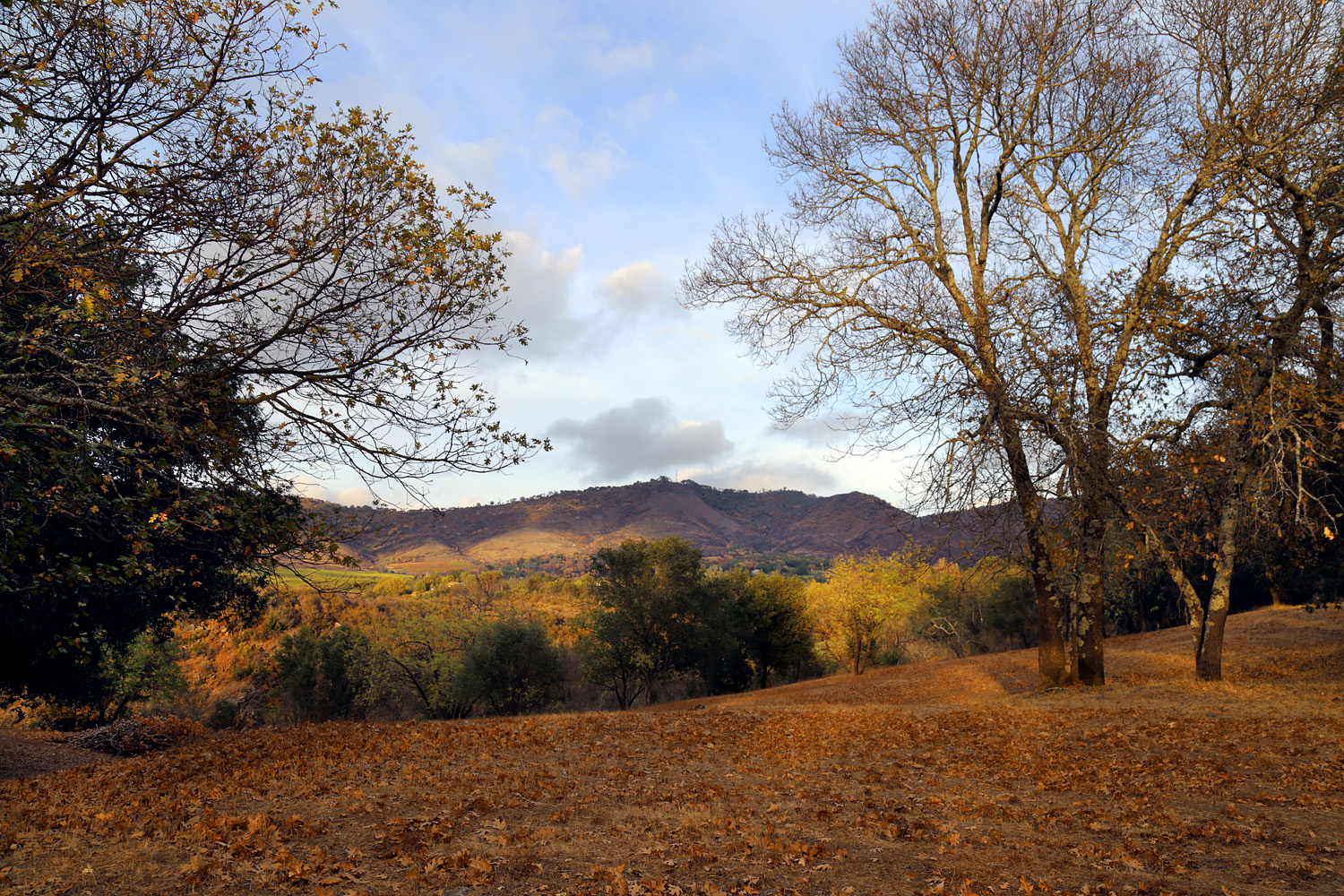 bill-hocker-atlas-peak-napa-county-california-2020