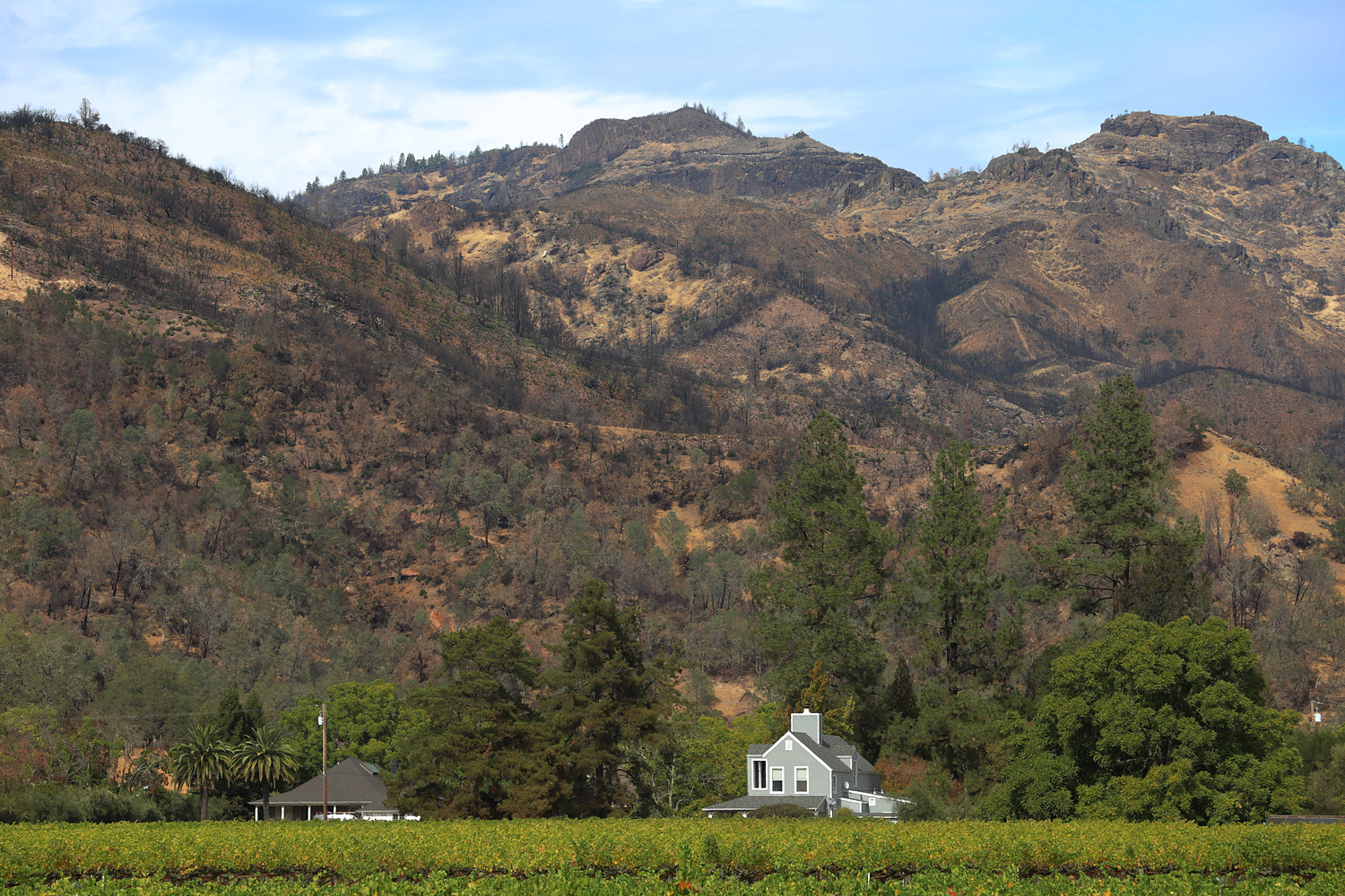 bill-hocker-eastern-hills-after-glass-fire-napa-valley-california-2021
