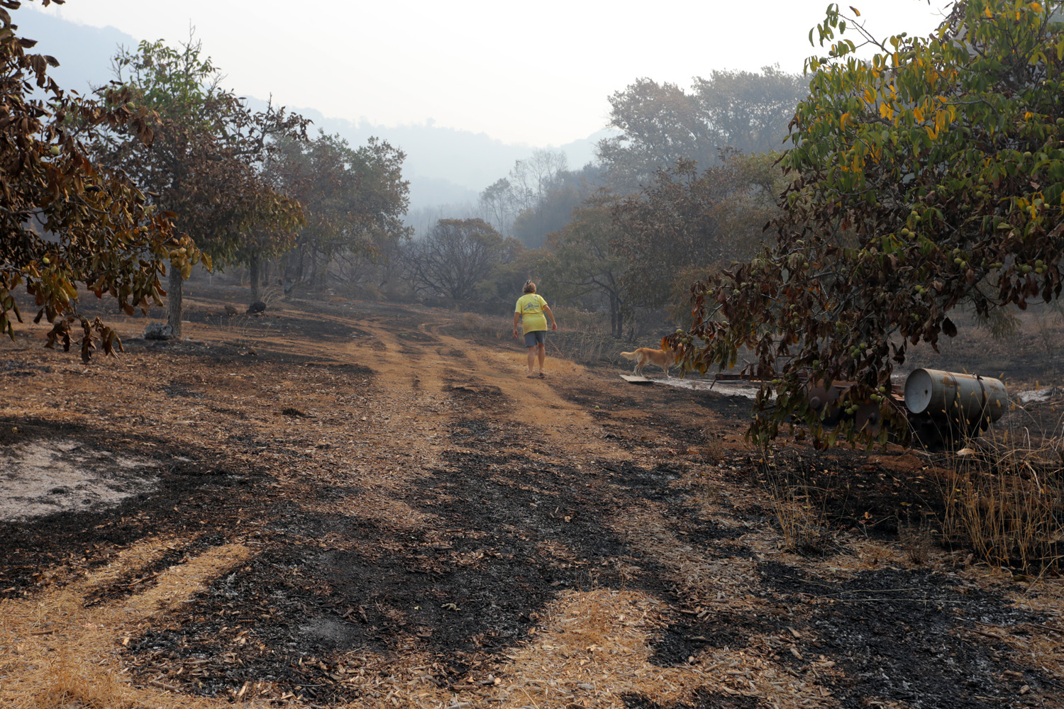 bill-hocker-manfree-property-soda-canyon-road-napa-california-2020