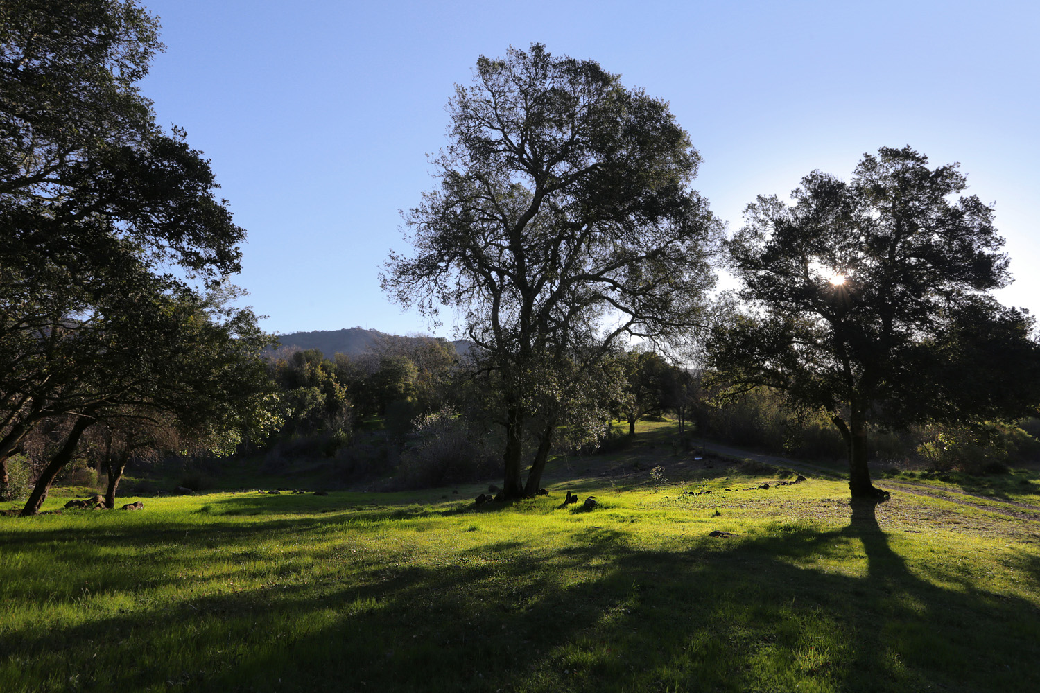 bill-hocker-atlas-peak-twin-brook-farm-napa-county-california-2021