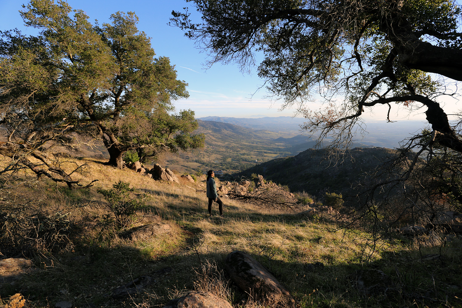 bill-hocker-stag's-leap-ridge-napa-county-california-2021