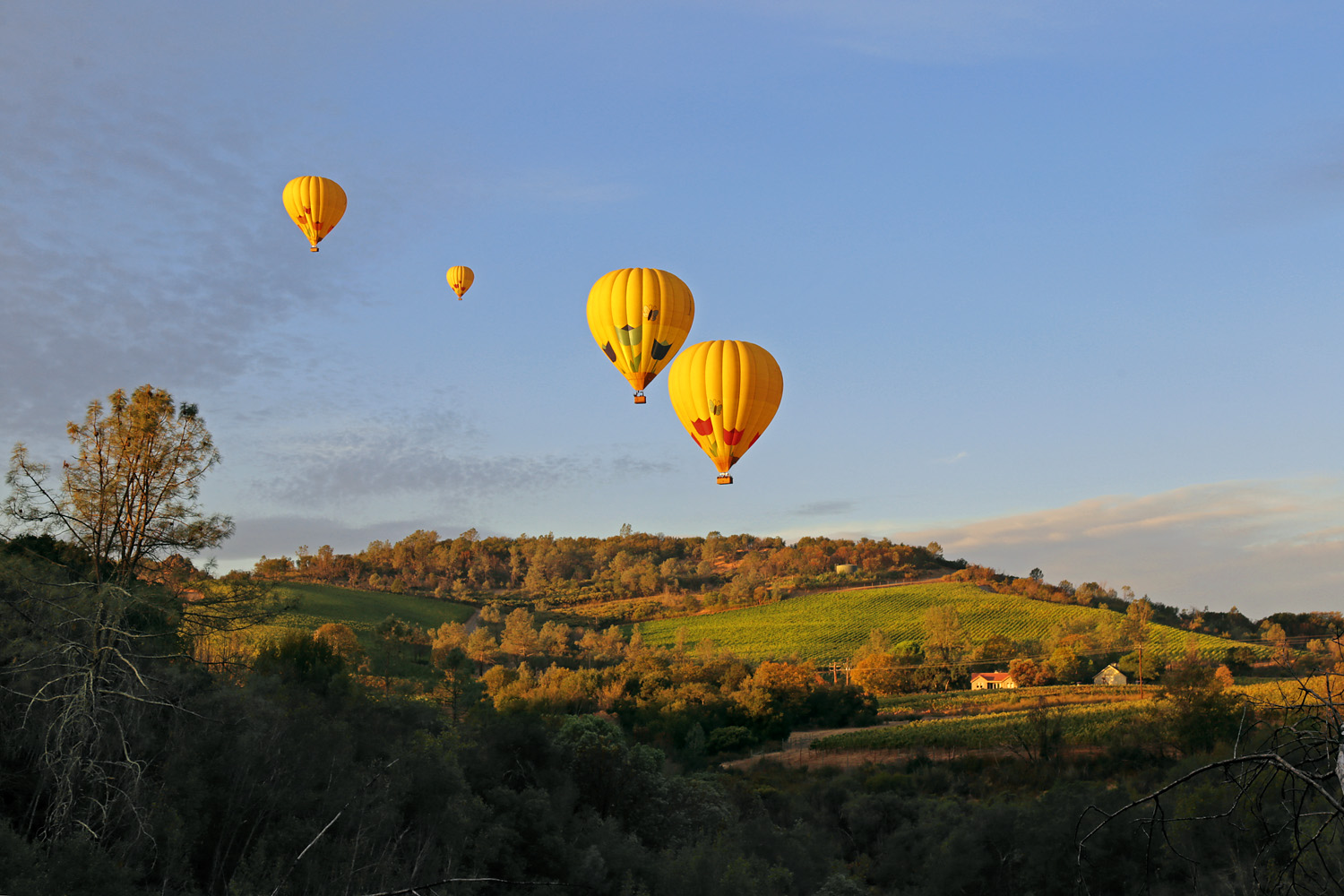 bill-hocker-ballooon-assualt-from-twin-brook-farm-napa-county-california-2021