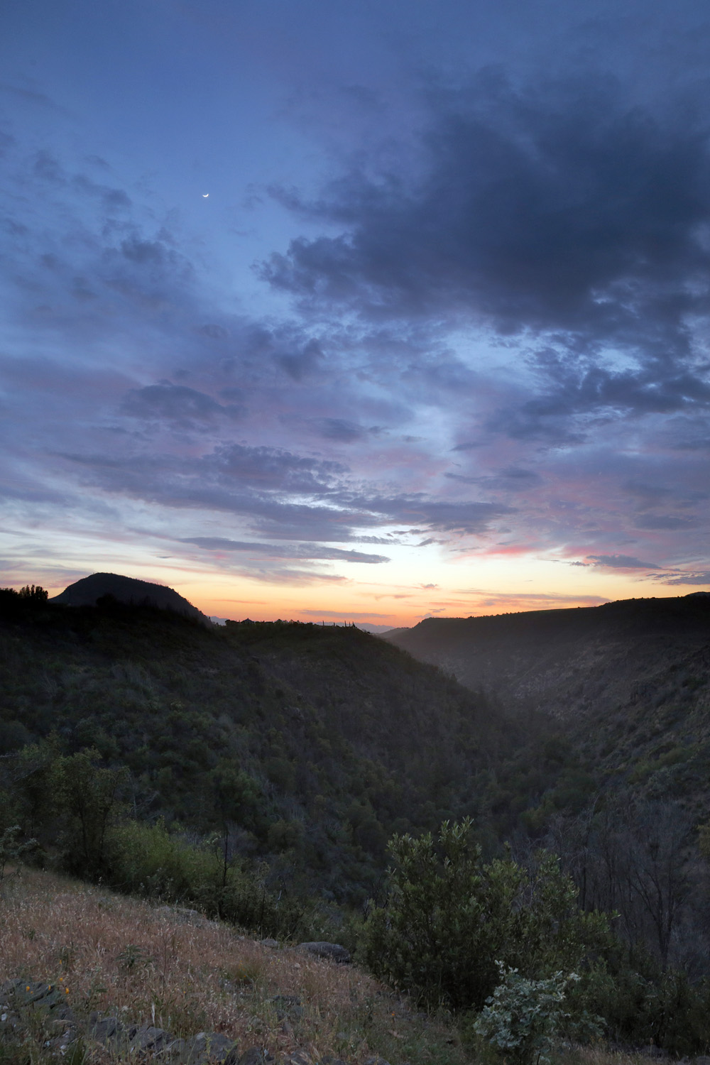 bill-hocker-rector-canyon-napa-county-california-2021