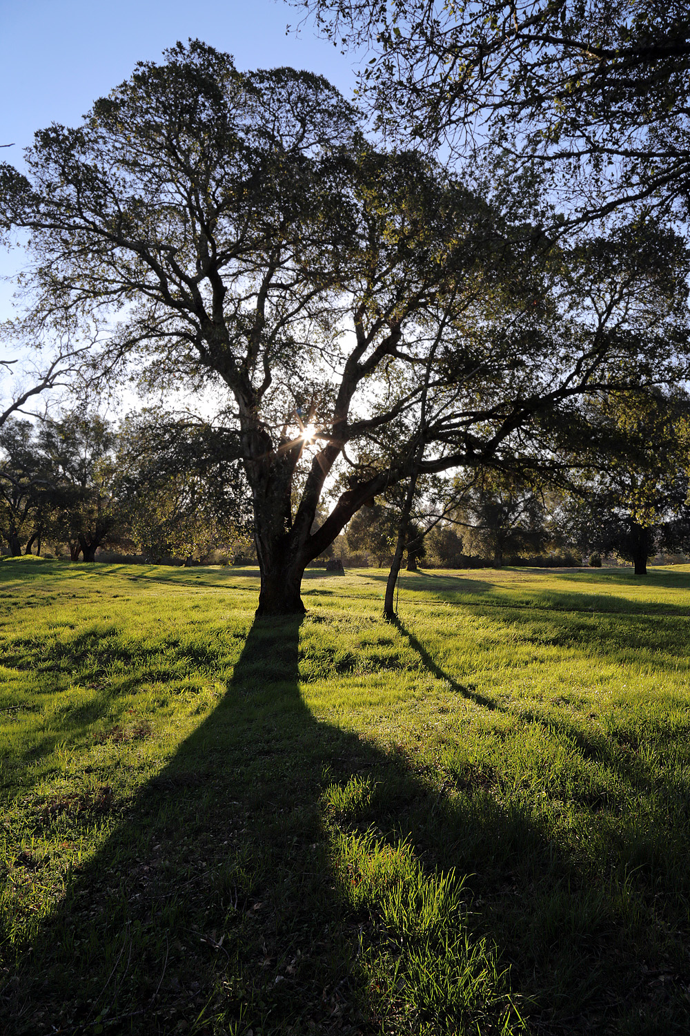 bill-hocker-twin-brook-farm-napa-county-california-2021