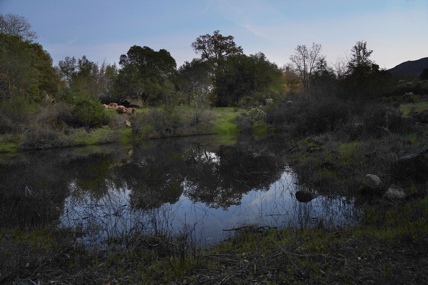 bill-hocker-vernal-pond-napa-county-california-2021