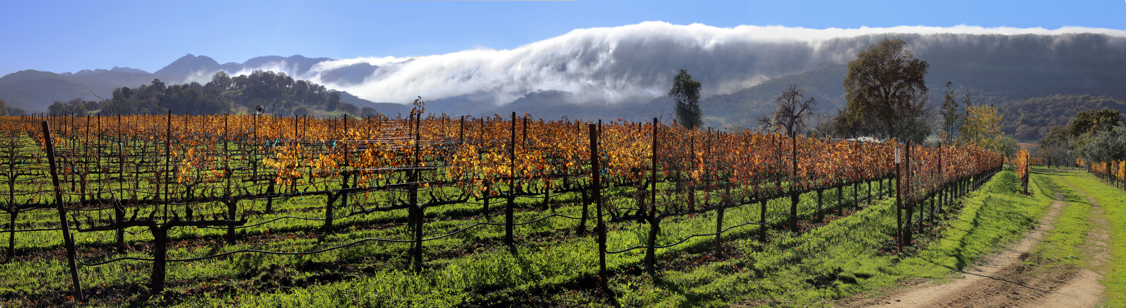 bill-hocker-wooden-valley-napa-county-california-2021