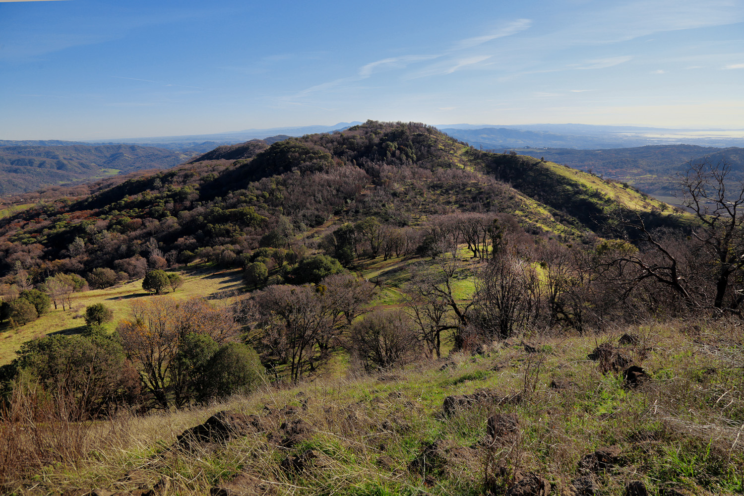 bill-hocker-south-from-atlas-peak-napa-county-california-2021