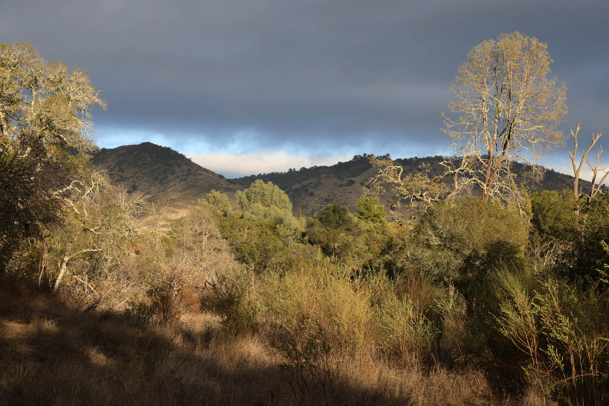 bill-hocker-atlas-peak-from-twin-brook-farm-napa-county-california-2022