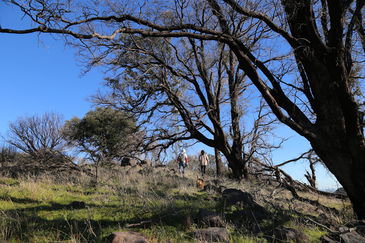 bill-hocker-atlas-peak-napa-county-california-2022