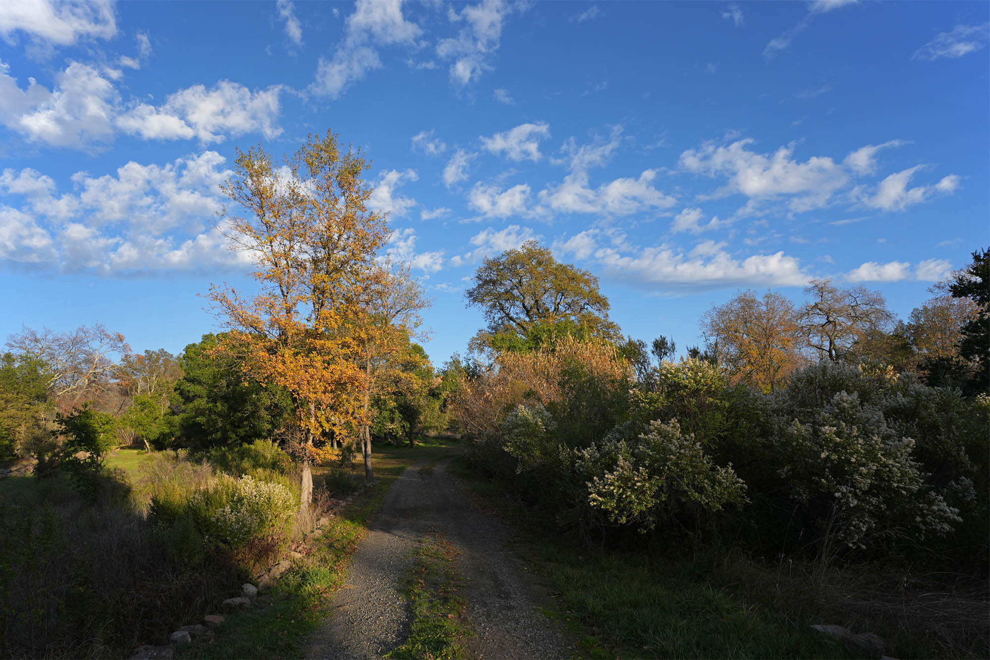 bill-hocker-twin-brook-farm-napa-county-california-2023