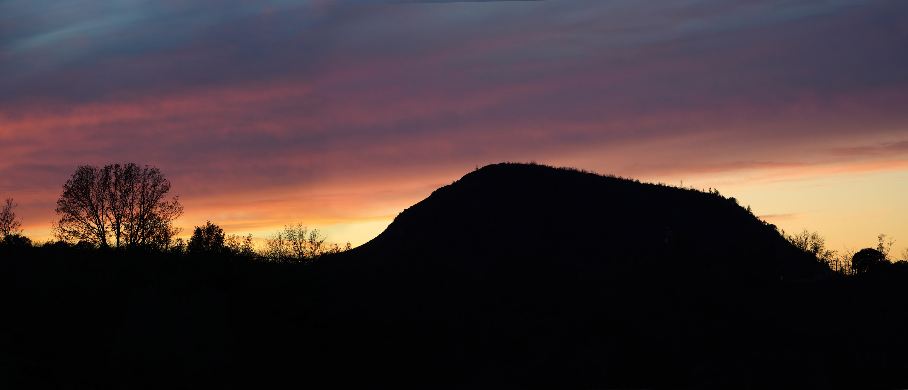 bill-hocker-haystack-twin-brook-farm-napa-county-2023