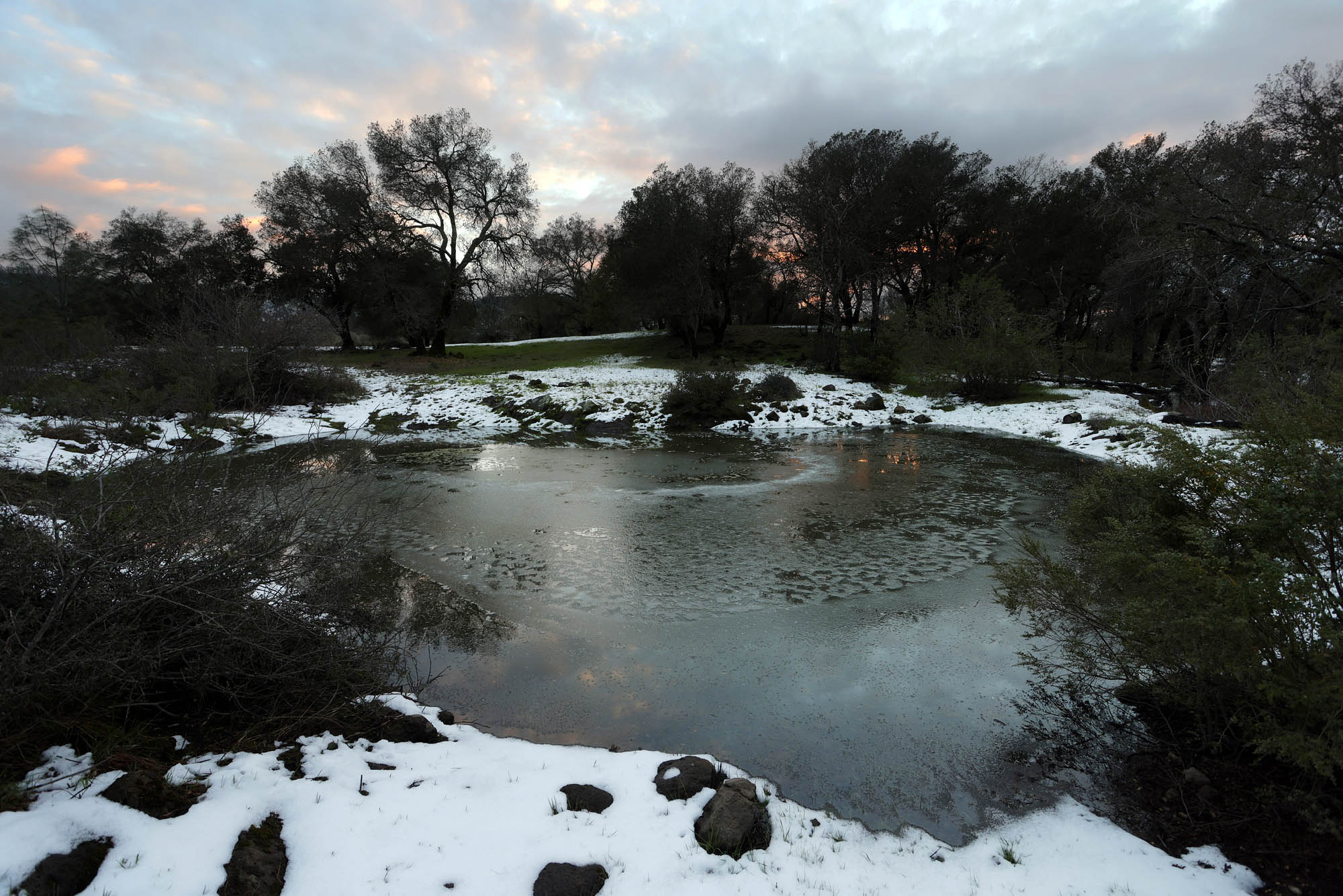 bill-hocker-vernal-pond-twin-brook-farm-napa-county-california-2023